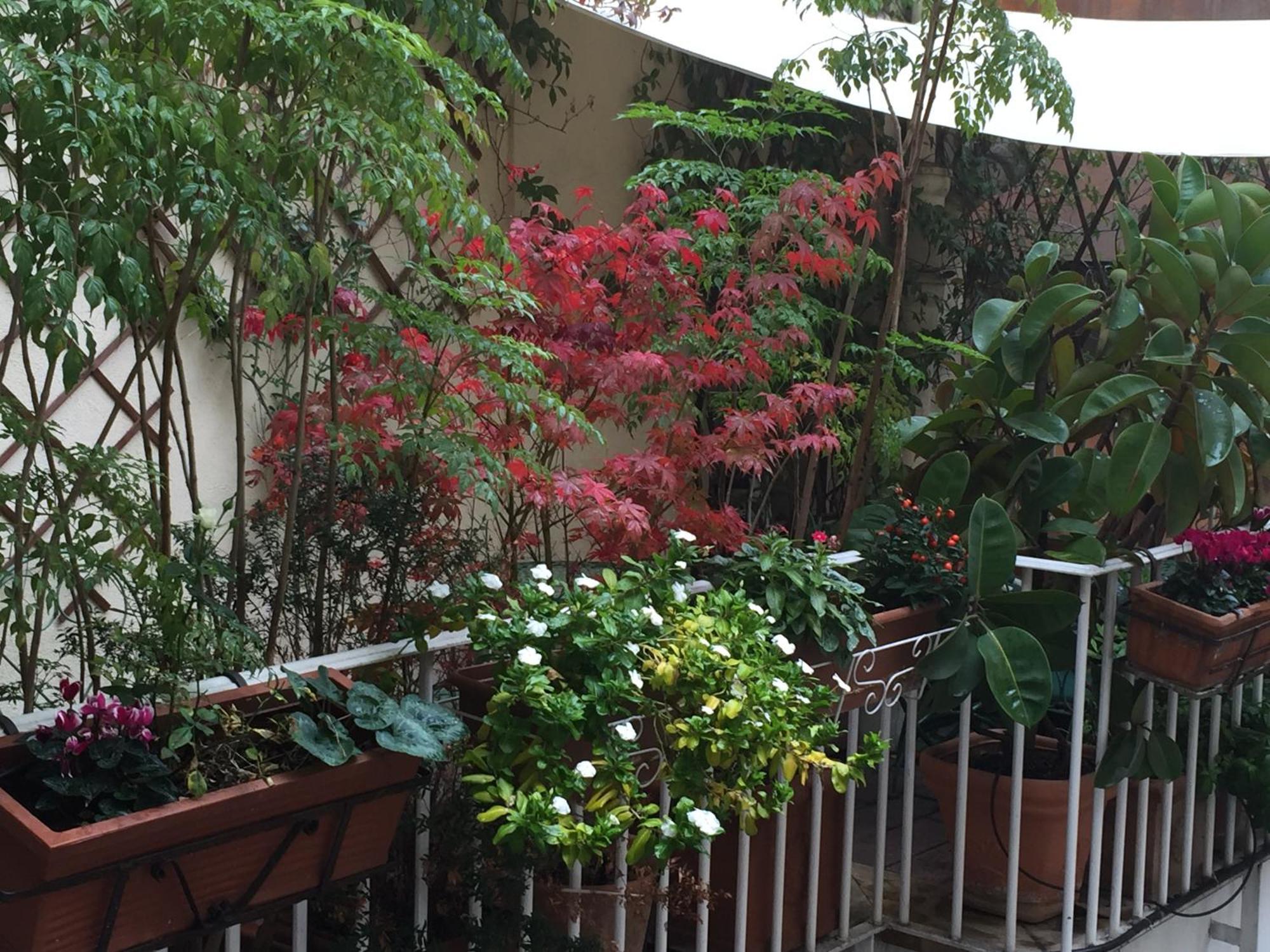 เรอแล เตียโตร อาร์เจนตินา Bed & Breakfast โรม ภายนอก รูปภาพ